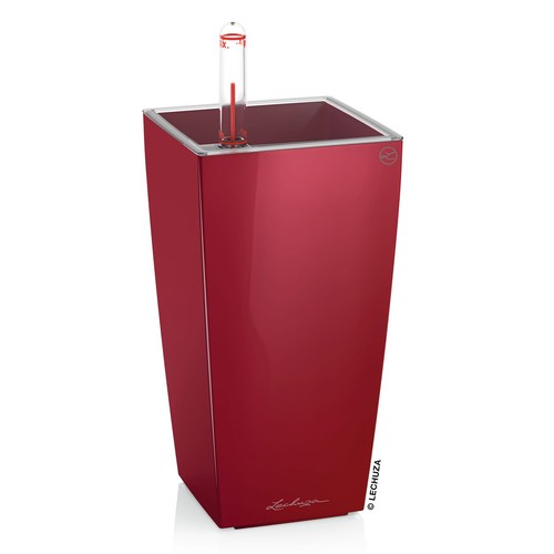 Lechuza mini cubi scarlet - lechuza, mini-cubi